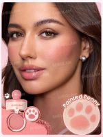 رژگونه استامپی پنجه گربه ای شیگلم SHEGLAM مدل Cutie Paw Blush Stamp - Image 7