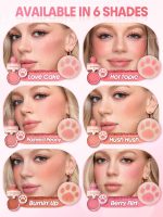 رژگونه استامپی پنجه گربه ای شیگلم SHEGLAM مدل Cutie Paw Blush Stamp - Image 4