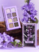پالت سایه 8 رنگ شیگلم SHEGLAM مدل Please 8-Pan - Image 4