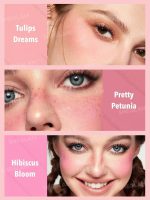 پالت رژگونه 6 رنگ شیگلم SHEGLAM مدل Floral Flush - Image 6
