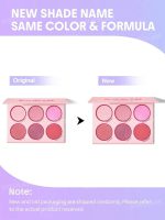 پالت رژگونه 6 رنگ شیگلم SHEGLAM مدل Floral Flush - Image 13