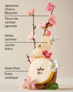 بادی اسپلش بث اند بادی Bath & Body رایحه Japanese Cherry Blossom - Image 3