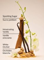 بادی اسپلش بث اند بادی Bath & Body رایحه Warm Vanilla Sugar - Image 3