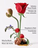 بادی اسپلش بث اند بادی Bath & Body رایحه Into the Night - Image 3